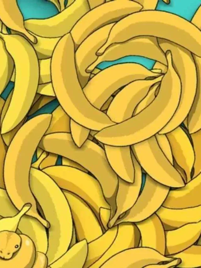 cropped-OpticalIllusionIQTestSpotHiddenSnakeAmongBananasInPicture